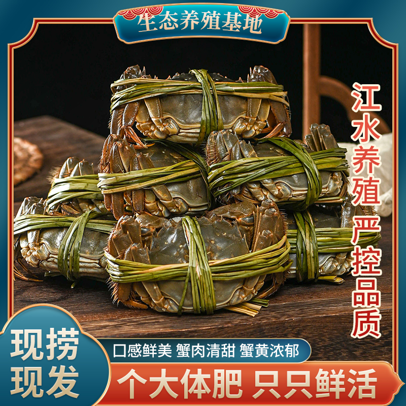 ZT5439-食品饮料-蓝色.jpg